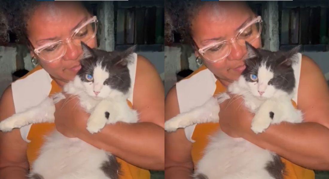 Sandra Moura encontrou a sua gata Cléio, que estava desaparecida desde o desabamento em Olinda, no domingo (19)