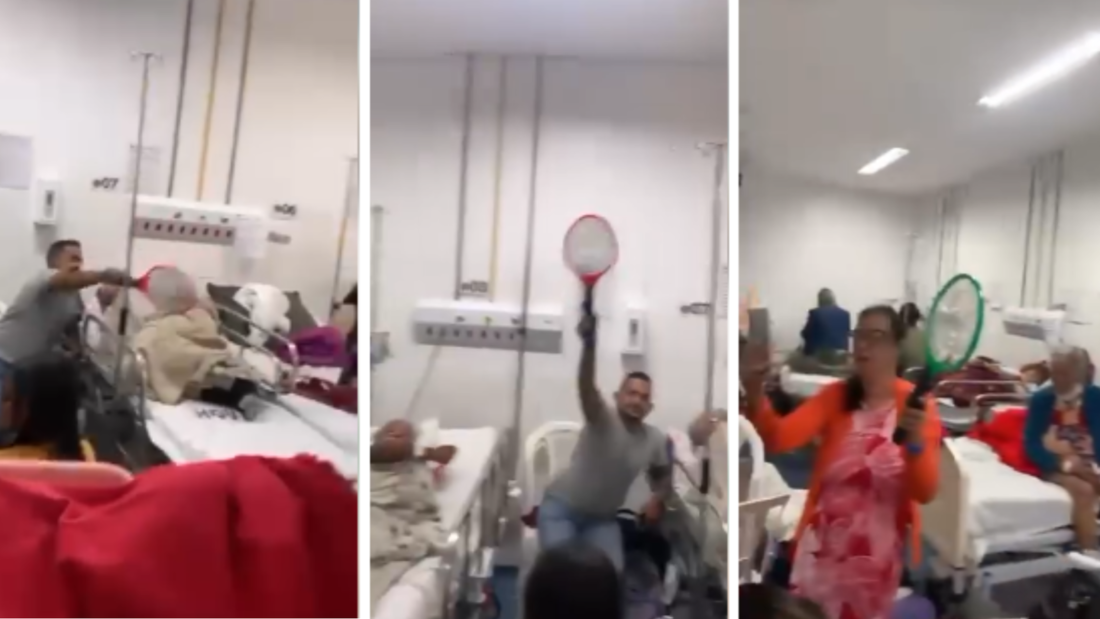 Pessoas enfrentam luta contra mosquitos e muriçocas