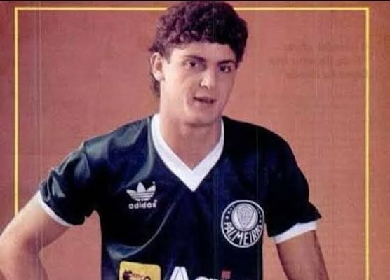 Edu foi revelado no Palmeiras em 1985, clube pelo qual atuou em 188 jogos e anotou 44 gols