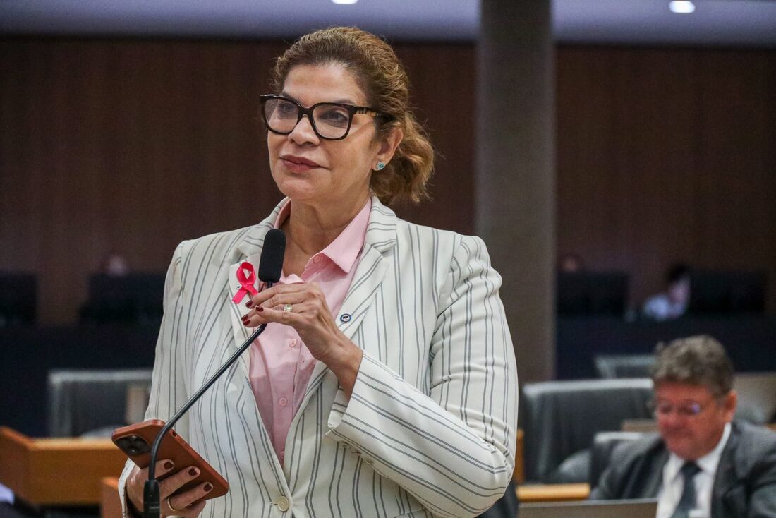 Líder do governo na Assembleia Legislativa de Pernambuco (Alepe), deputada Socorro Pimentel (União Brasil)