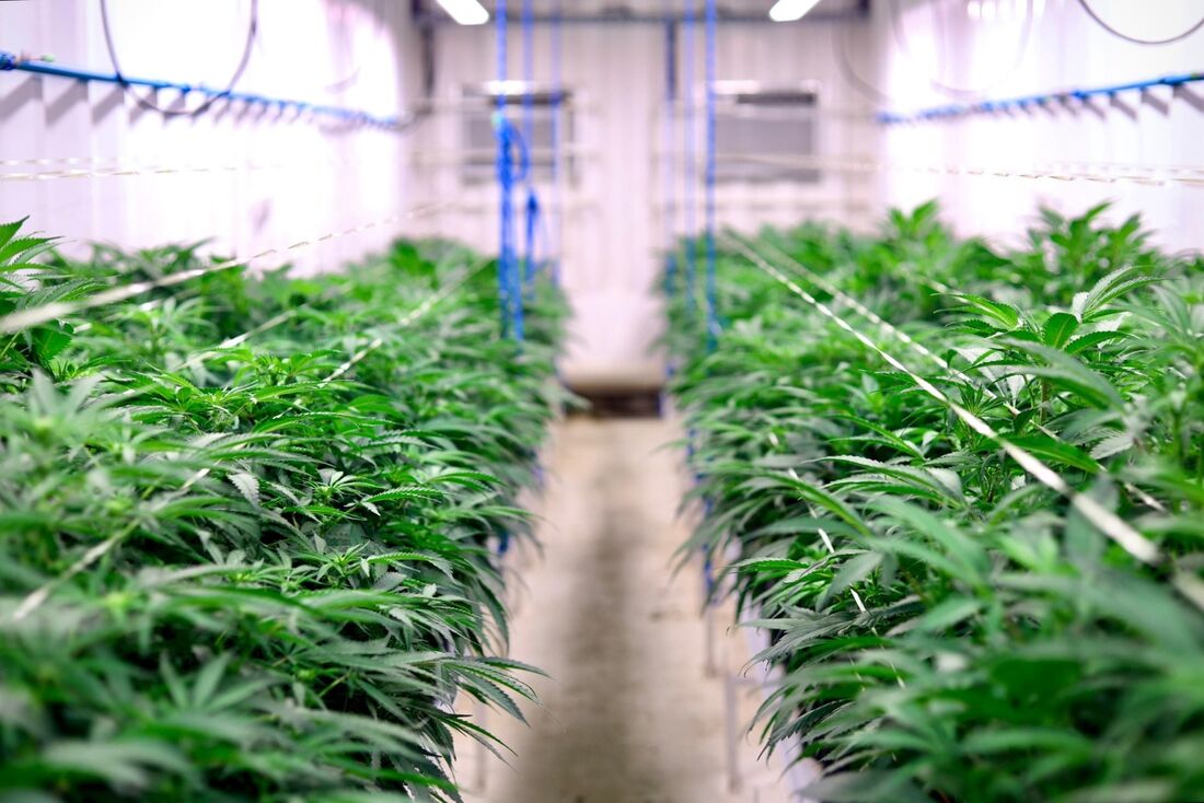 Fórum é promovido pela UFRPE