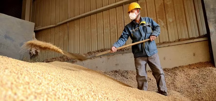 Um trabalhador despeja soja importada do Brasil em uma empresa de processamento em Binzhou, na província de Shandong, leste da China