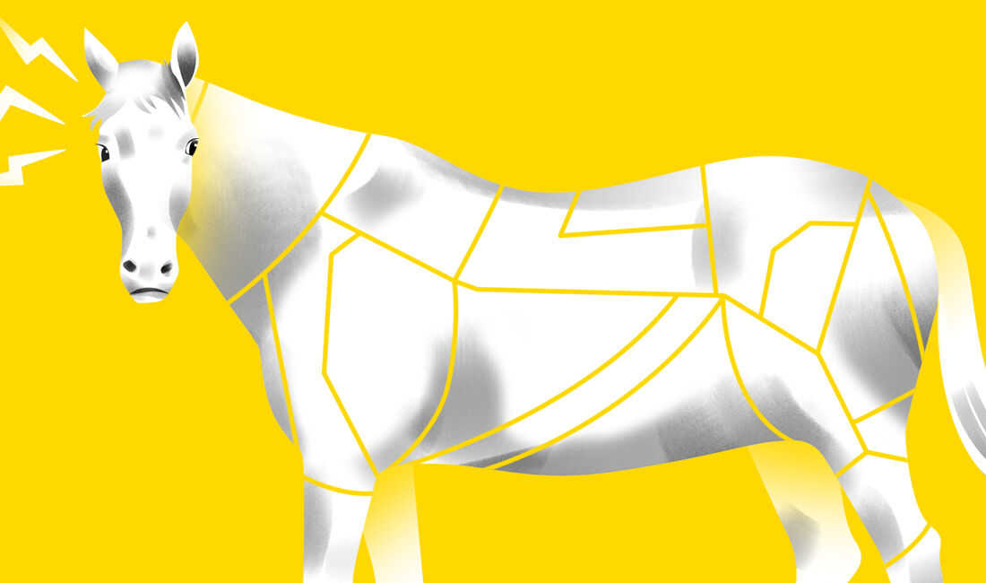 A carne de cavalo é semelhante à do boi, embora mais gordurosa, de cor mais intensa, e de sabor mais forte e adocicado