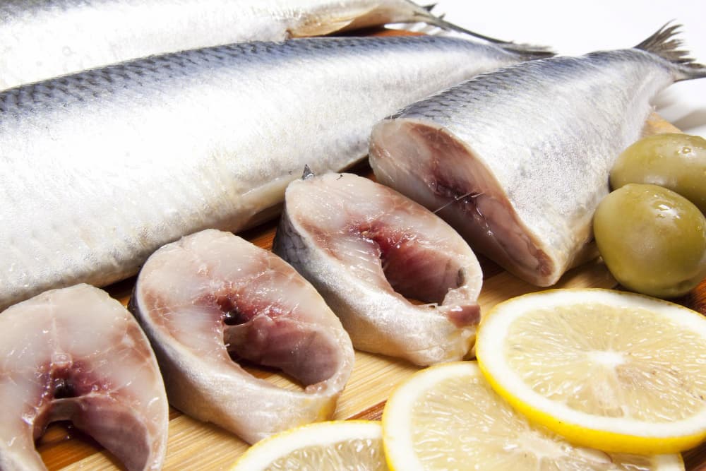 Pescados não foram contemplados na isenção tarifária pelos Estados Unidos