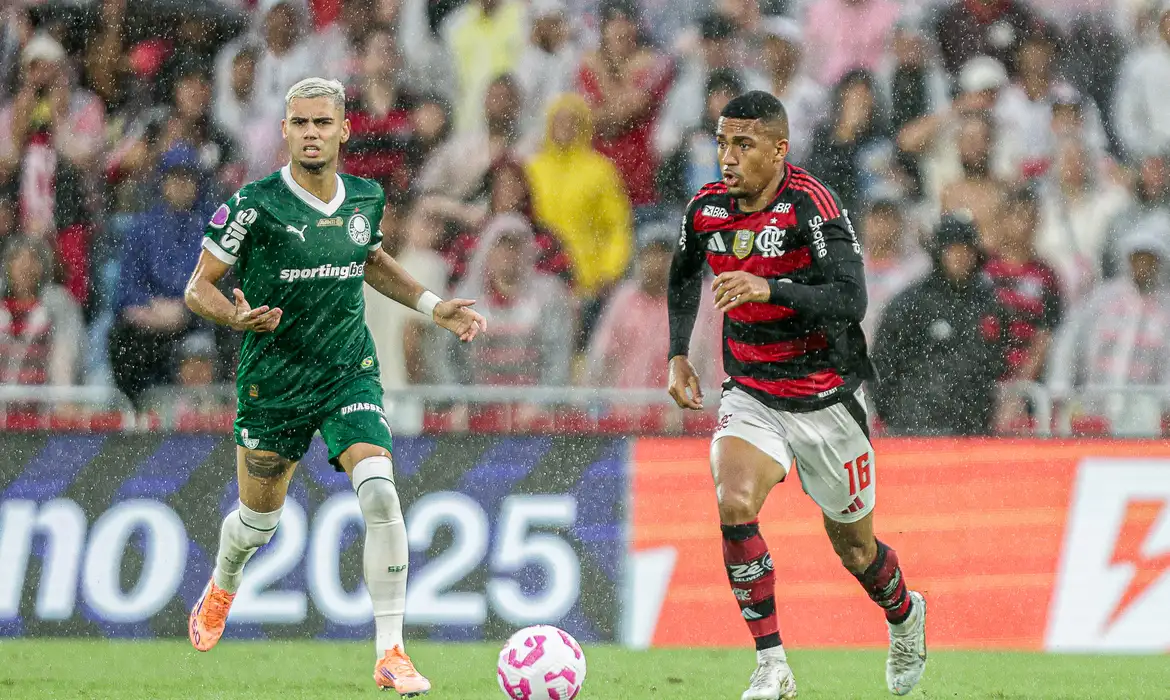 Palmeiras e Flamengo decidem Libertadores
