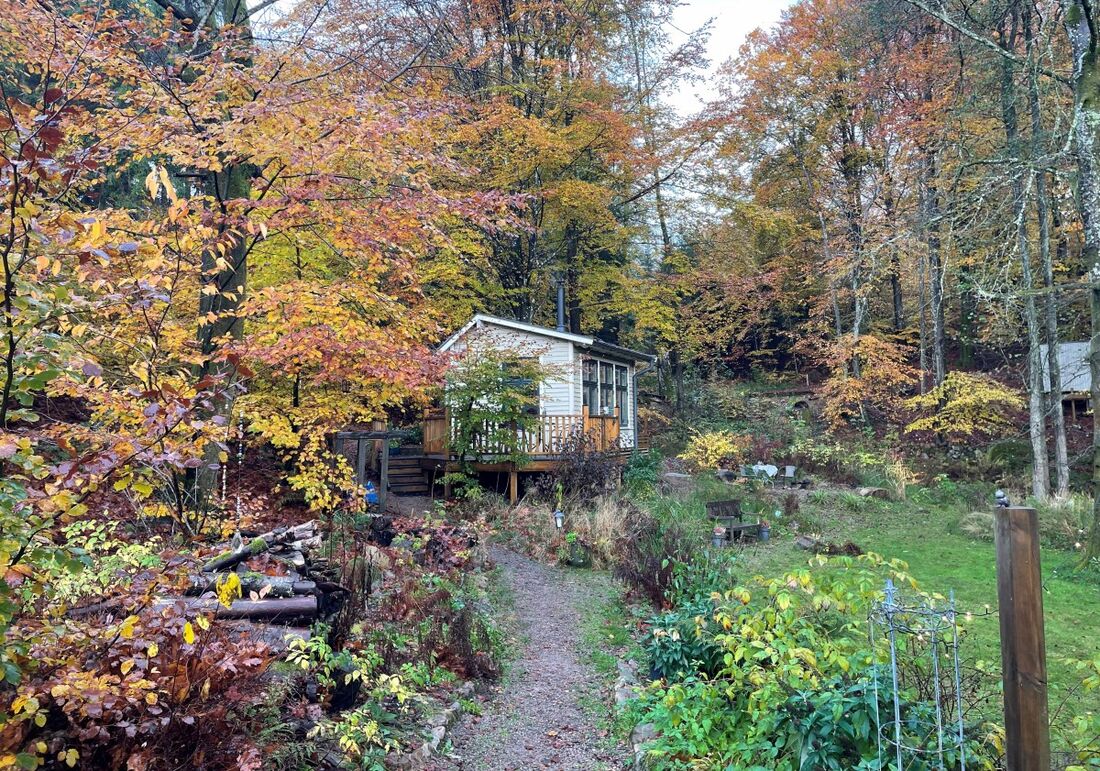 Suécia aposta no silêncio de suas florestas como antídoto para o ruído do mundo