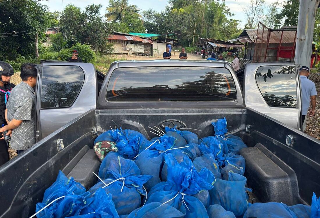 Dois homens presos na Tailândia por transportar 81 macacos e metanfetamina