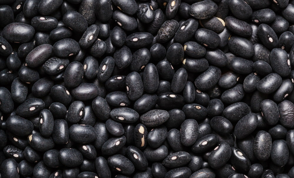 Emirados Árabes Unidos e Líbano abrem mercados para codornas e feijão preto do Brasil