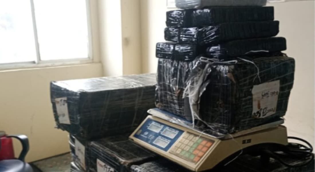 Polícia apreende 115 kg de maconha em Jaboatão dos Guararapes