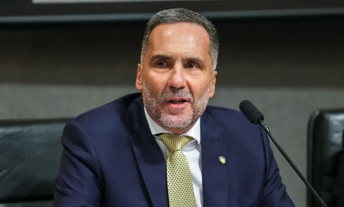 Secretário Nacional de Segurança Pública, Mário Sarrubbo