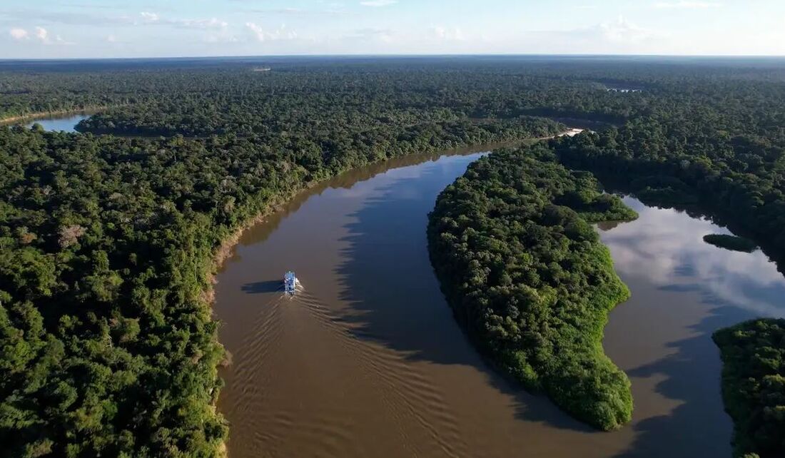 Desmatamento total na Amazônia Legal também apresentou "queda robusta" em 2025, segundo o ICMBio