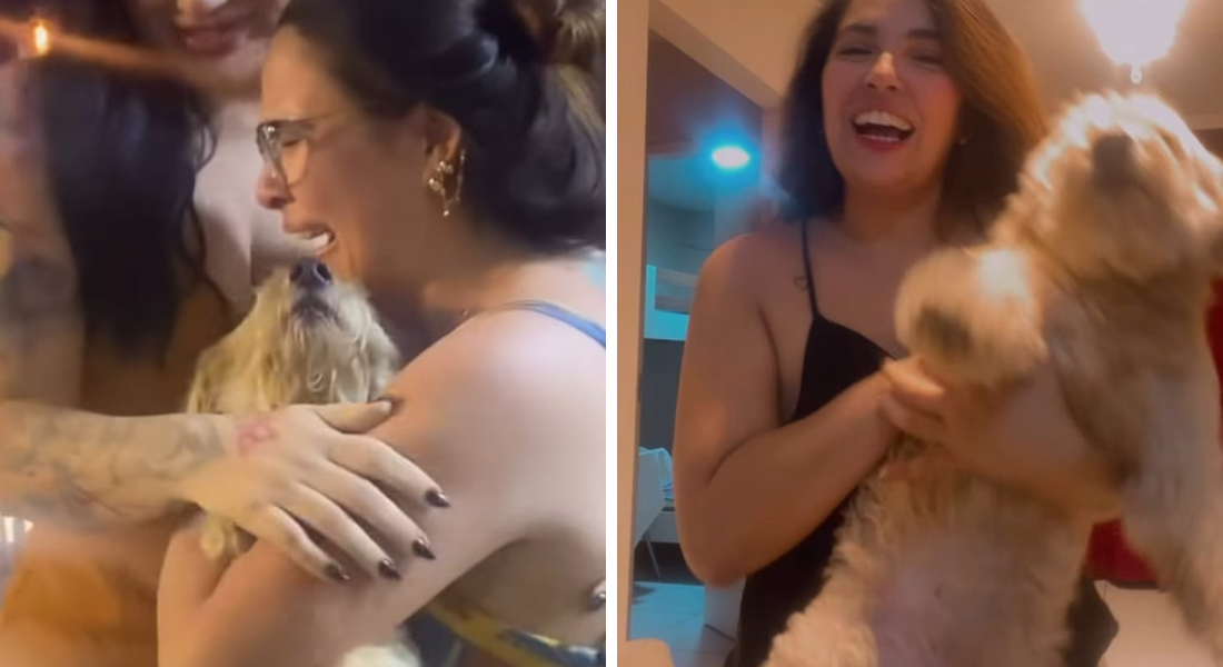 Sheik volta pra sua tutora após 10 dias