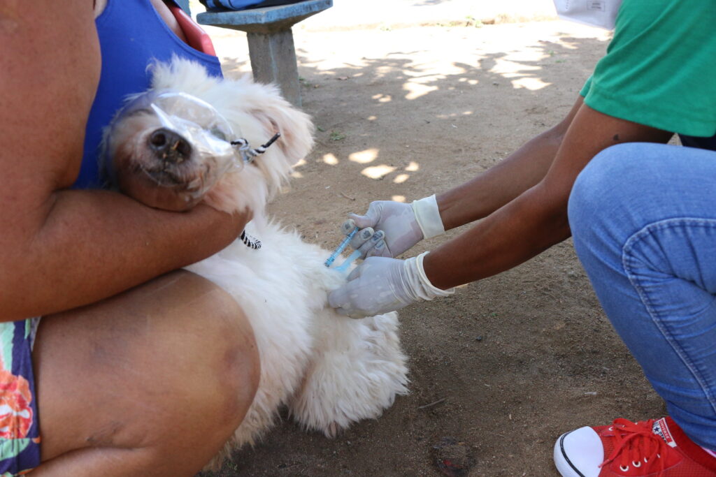 Ação será concentrada nas áreas do Distrito Sanitário II,