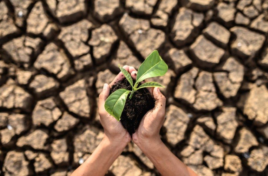 Evento deve reunir especialistas para pensar em estratégias para as emergências climáticas dentro da arquitetura e urbanismo