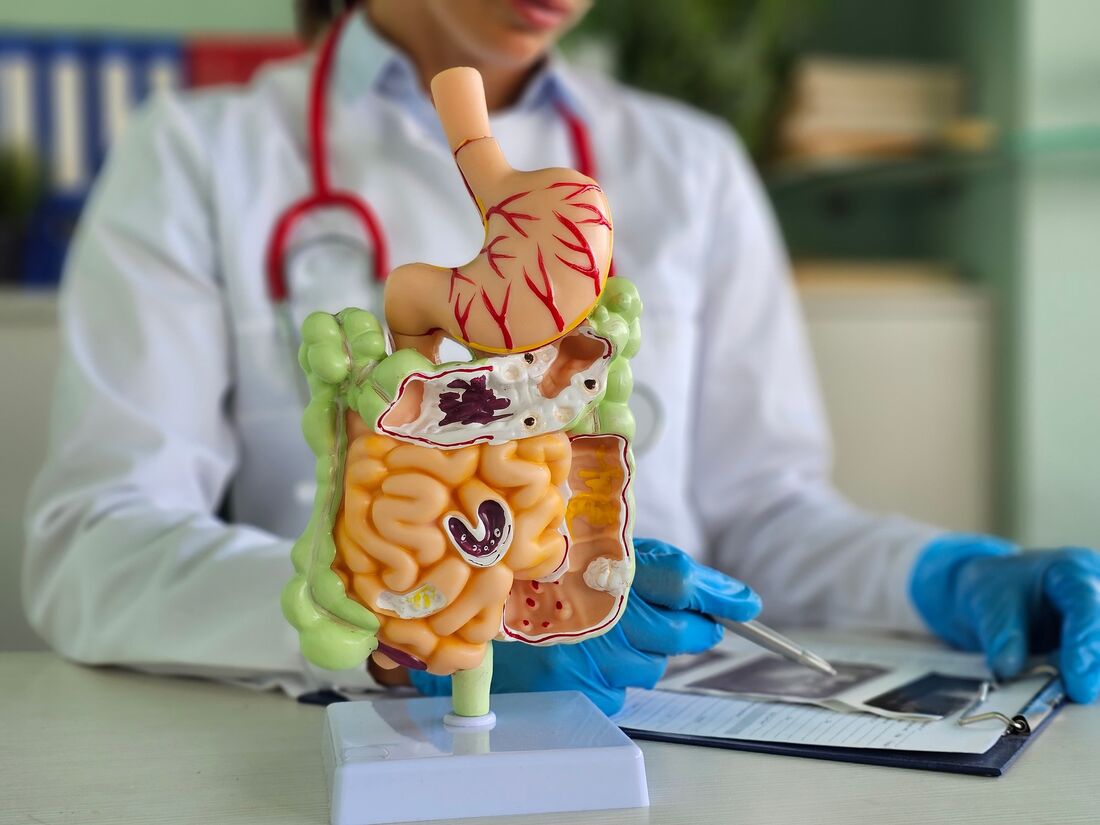 Com até 500 milhões de neurônios no sistema nervoso entérico, o intestino é conhecido como o  "segundo cérebro