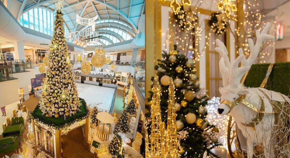 Decoração natalina do Tacaruna remete às paisagens geladas do inverno