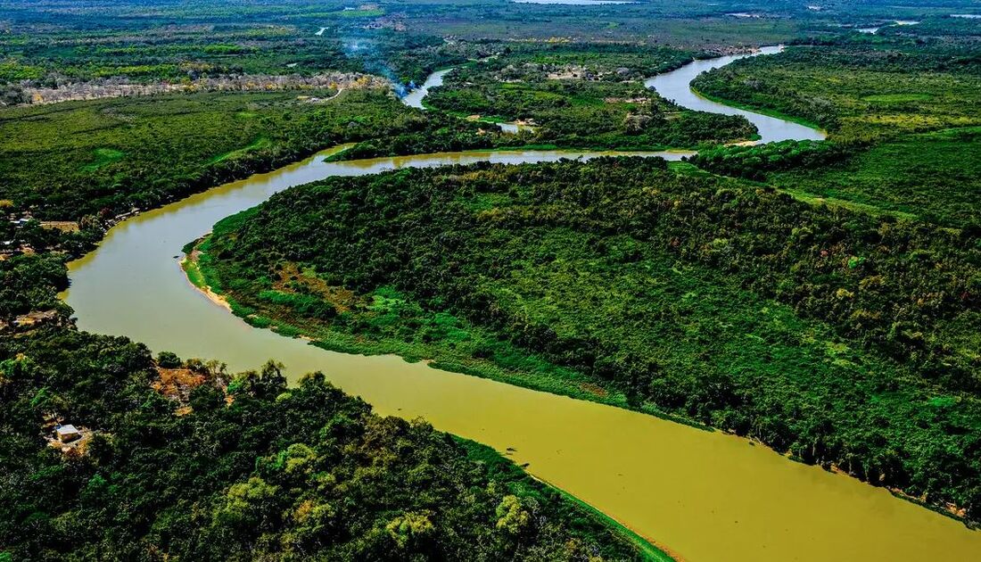 Rede de especialistas ressalta aspectos complementares como a interdependência entre Pantanal, Cerrado e Amazônia