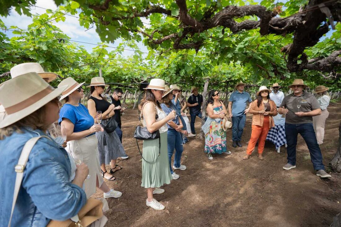 Vinhuvafest 2025 – Festa da Uva e do Vinho do Nordeste