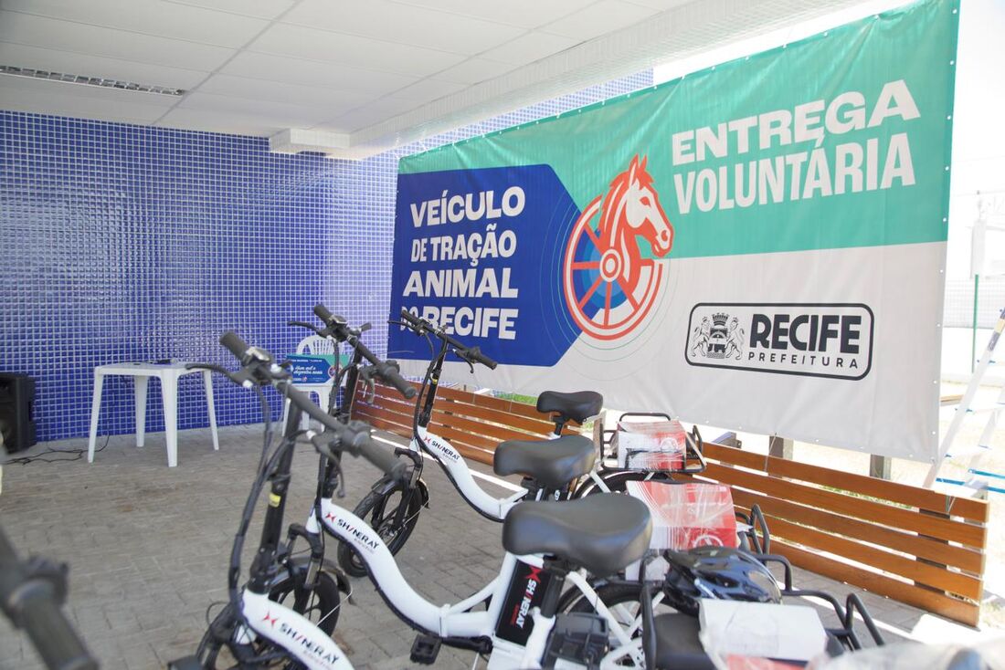 Prefeitura do Recife inicia entrega de benefícios aos carroceiros cadastrados no censo de Veículo de Tração Animal