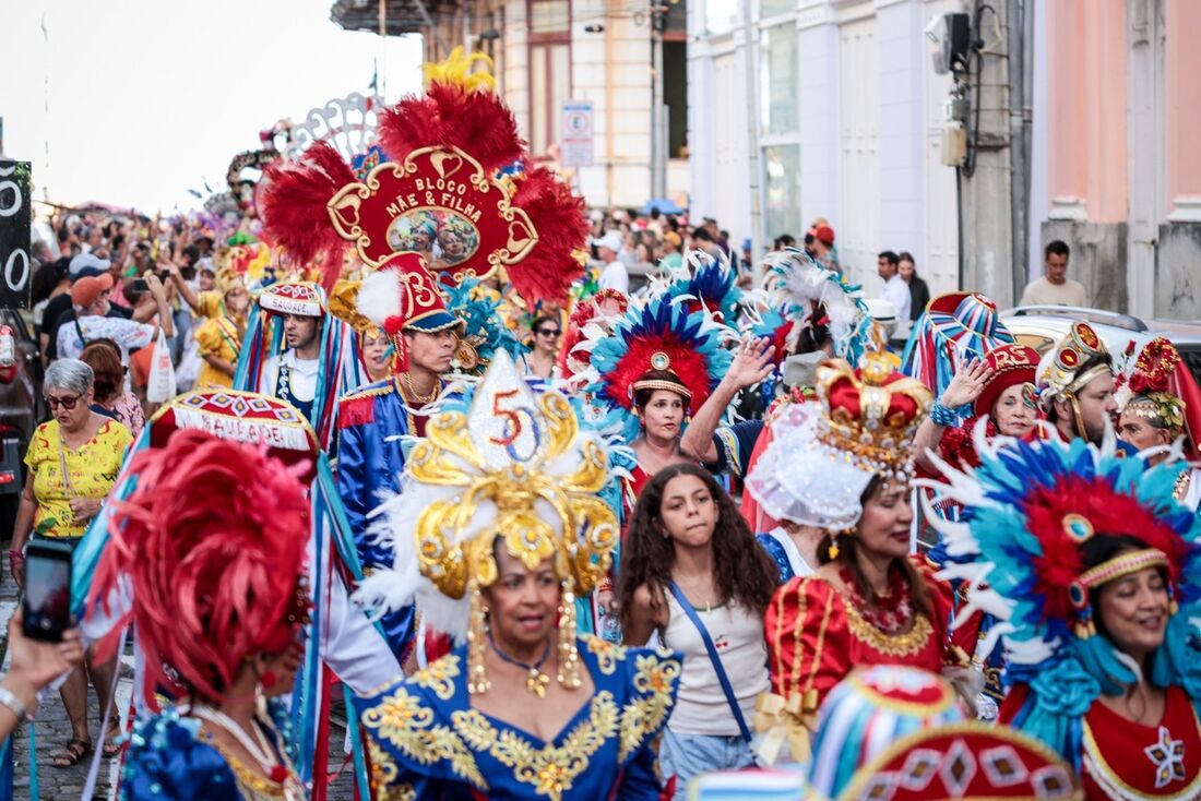 25 agremiações líricas desfilaram pelas rua do Bairro do Recife no arrastão de blocos em homenagem ao dia do Frevo de Bloco Lírico.