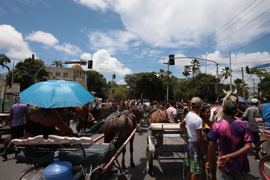 Protesto dos carroceiros no Centro do Recife, na manhã desta segunda-feira (17)