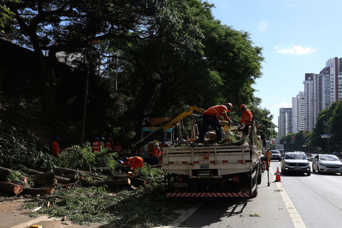 Profissionais da prefeitura trabalham para removere árvore caída na avenida 23 de Maio após tempestade com fortes ventos na capital paulista.