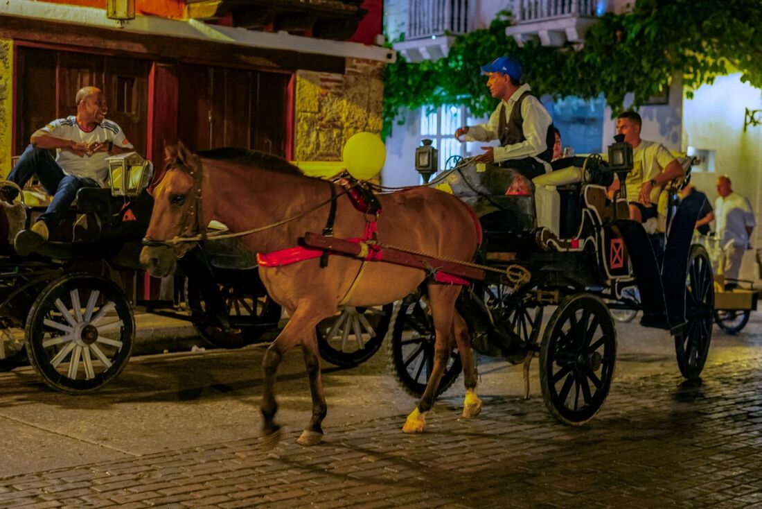 A partir deste 29 de dezembro as carruagens com cavalos serão proibidas 