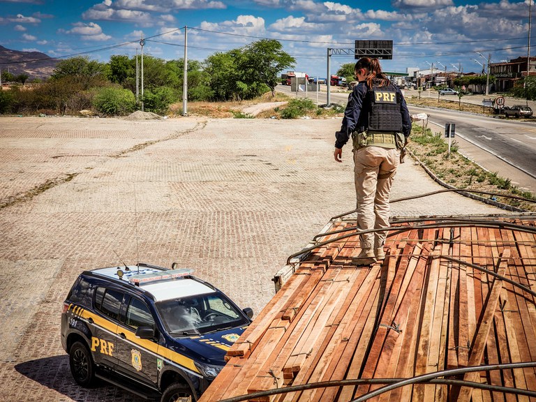 Em 2025, de janeiro a novembro, foram apreendidos 4.265 m³ de madeira ilegal nas rodovias pernambucanas