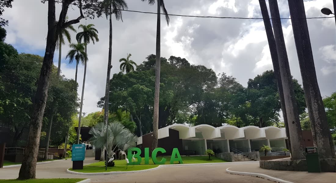 Parque Zoobotânico Arruda Câmara (Bica), em João Pessoa - PB reabre nesta quinta-feira (18)