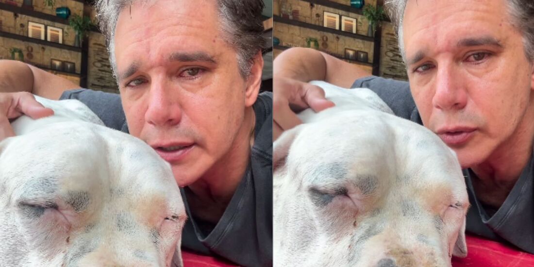 Márcio Garcia se despediu de Bogo, um de seus quatro cachorros