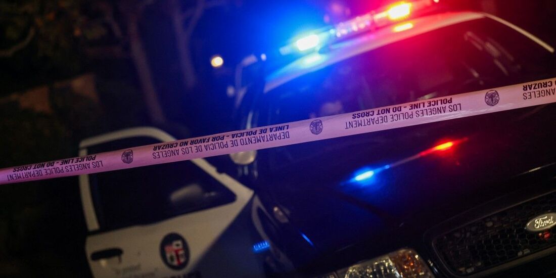 Nick Reiner, filho do diretor Rob Reiner, teria sido algemado e escoltado segundo sites internacionais