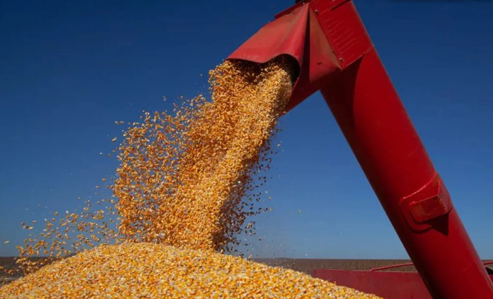 Grãos são uma das cargas prioritárias do ramal da Trasnordestina entre Piauí e Ceará