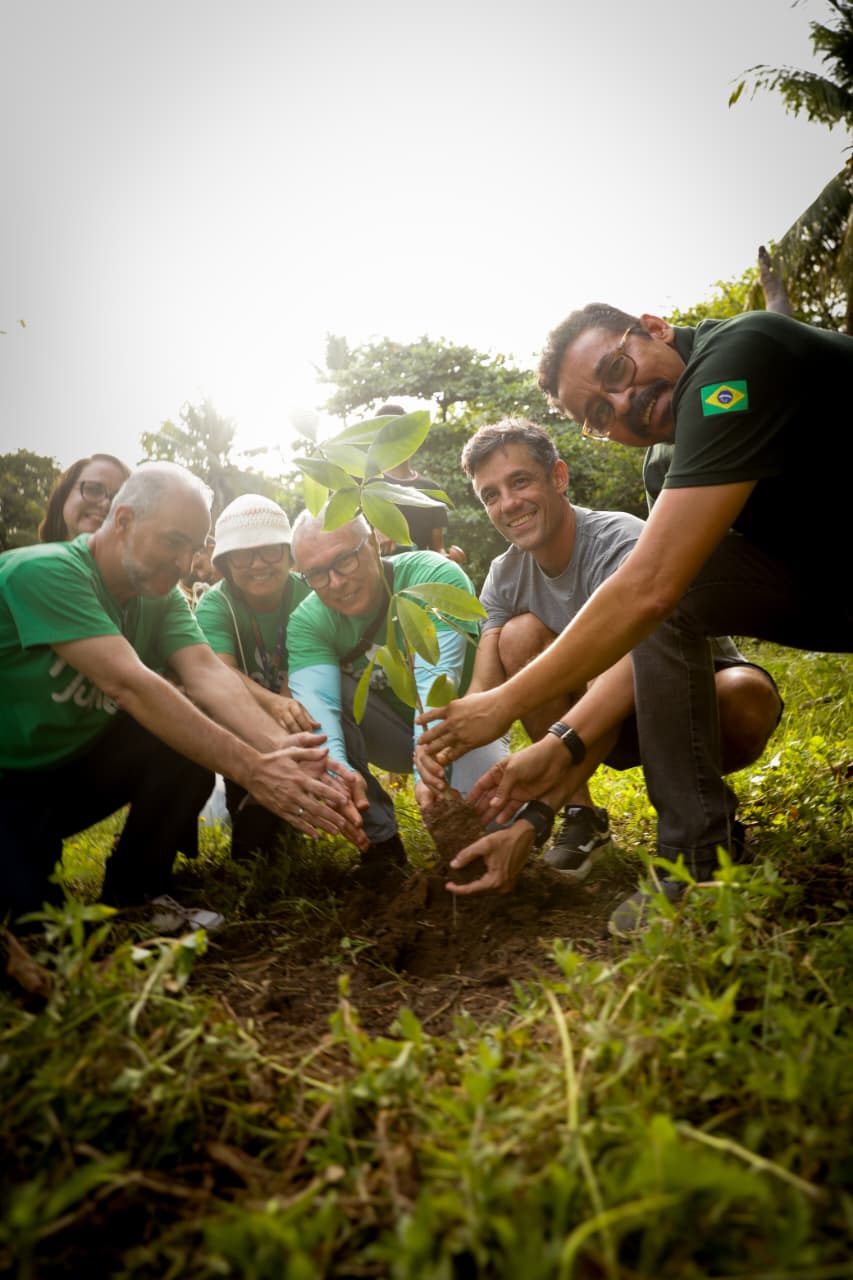 O relançamento do edital tem como intuito plantar cerca de 451 mil mudas
