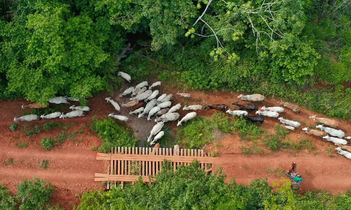 Vaqueiro a serviço do Ibama foi assassinado na TI Apyterewa