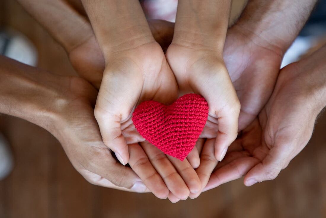 Dia Internacional da Solidariedade é celebrado neste sábado (20)