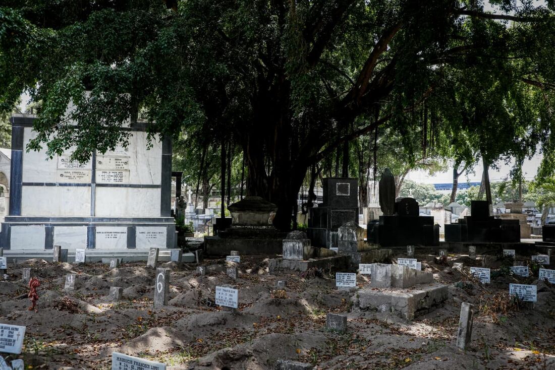 Mortes no país crescem 4,6% em 2024, maior alta fora anos de pandemia