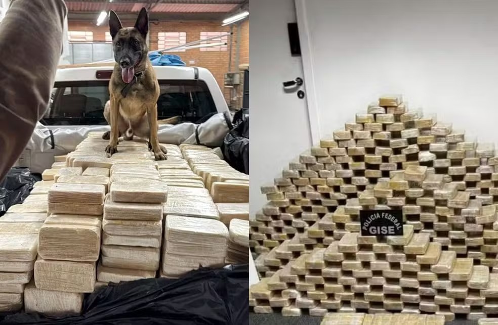 Polícia Federal encontra bunker com 613 kg de cocaína em empresa de fachada em Santa Catarina