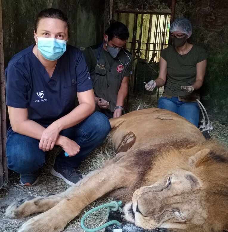 Leão Léo durante o atendimento