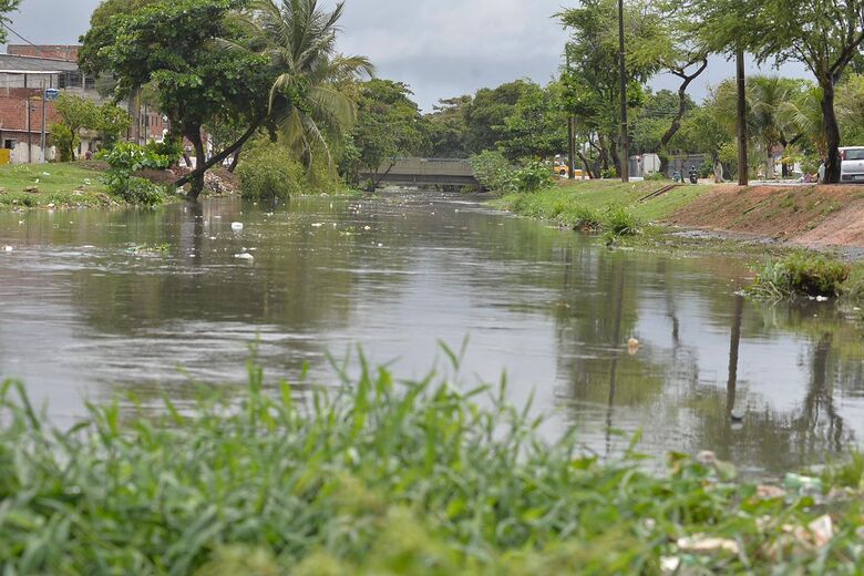 Foto: Rafael Furtado/Folha de Pernambuco