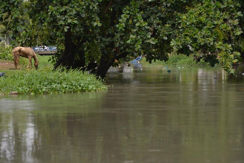Foto: Rafael Furtado/Folha de Pernambuco