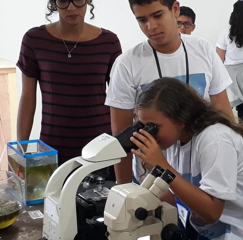 Os pequenos crustáceos, moluscos, e exemplares conservados em formol estão disponíveis para visualização em microscópios, na mesa de exposição ou ainda em pequenos recipientes transparentes. - Foto: Divulgação.