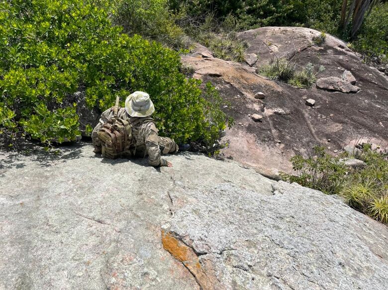 Maconha erradicada no Sertão. Foto: Divulgação/PF