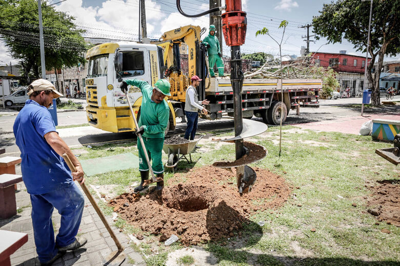 Novas tecnologias no plantio de árvores no Recife. Foto: Daniel Tavares/PCR