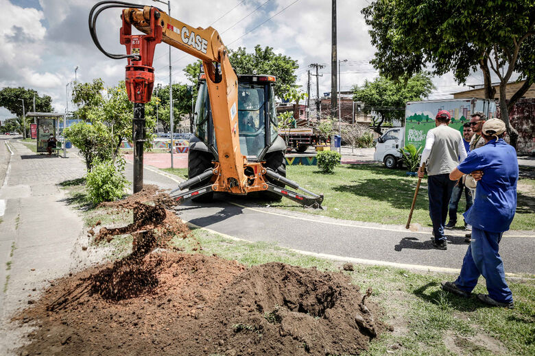 Novas tecnologias no plantio de árvores no Recife. Foto: Daniel Tavares/PCR