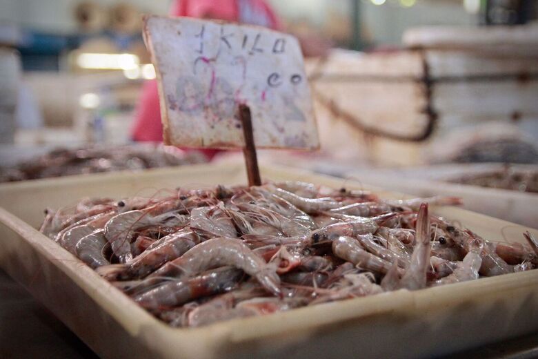 Pescados para a Semana Santa no Mercado de São José | Foto: Melissa Fernandes/Folha de Pernambuco