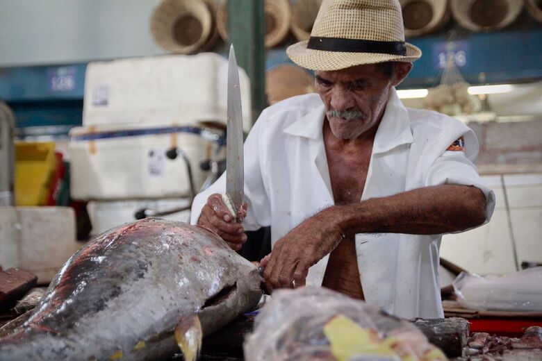 Pescados para a Semana Santa no Mercado de São José | Foto: Melissa Fernandes/Folha de Pernambuco