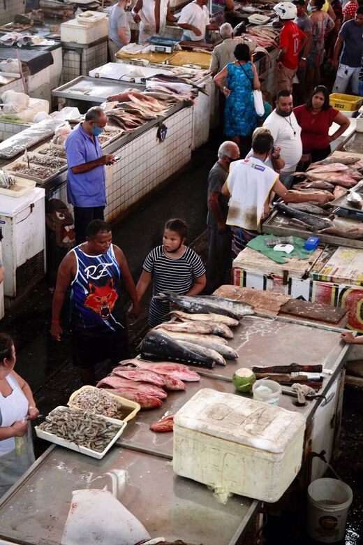 Pescados para a Semana Santa no Mercado de São José | Foto: Melissa Fernandes/Folha de Pernambuco