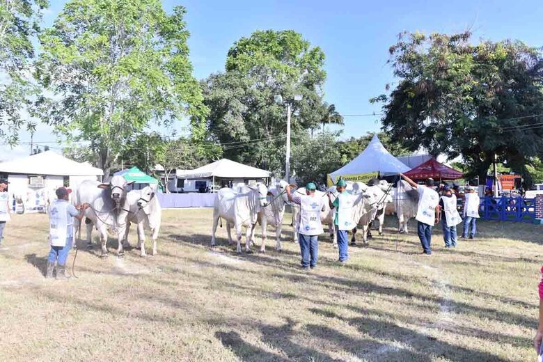 42ª edição da ExpoCarpina, em 2019. Foto: Divulgação/ ExpoCarpina 