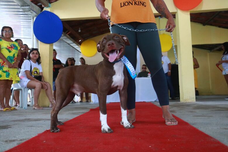 Concurso de Beleza Pet animou moradores de Paulista - Foto: Arthur de Souza/Folha de Pernambuco