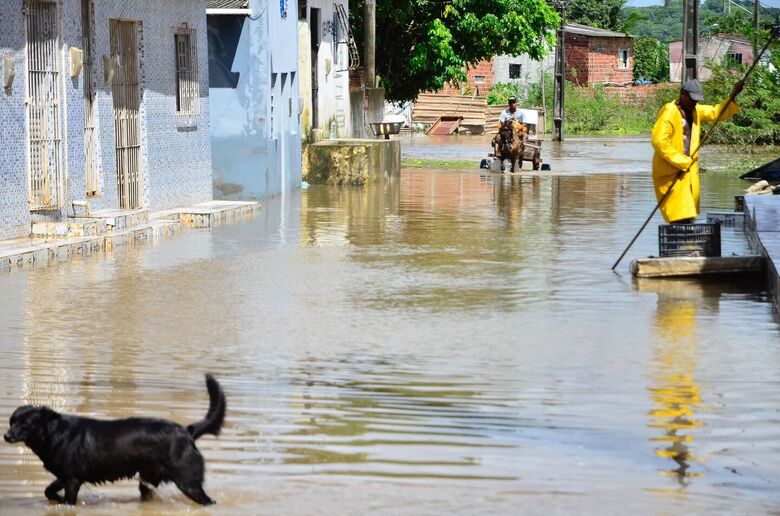 O homem desapareceu após tentar salvar um cavalo ilhado no Conjunto Muribeca, em Jaboatão dos Guararapes. Foto: Arthur Mota/Folha de Pernambuco